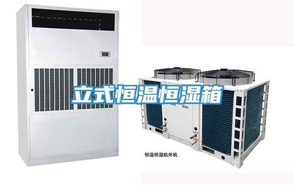 立式恒温恒湿箱