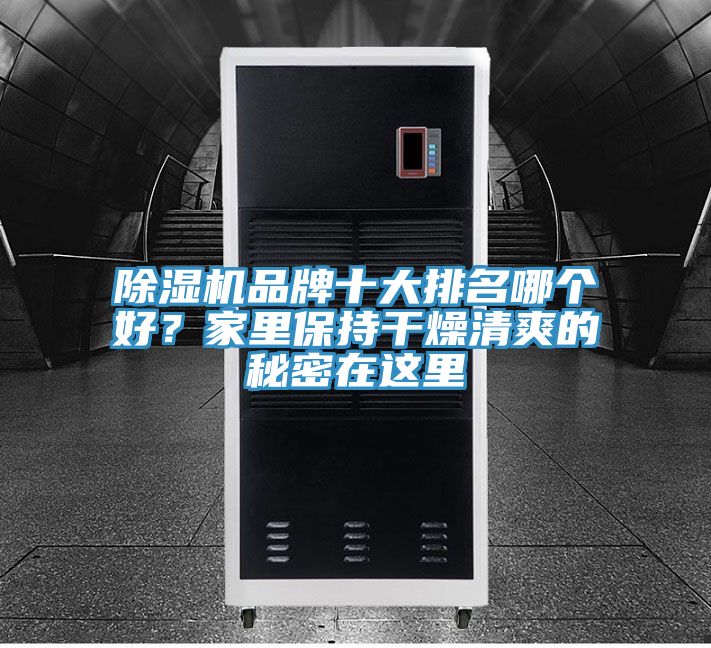 除湿机品牌十大排名哪个好？家里保持干燥清爽的秘密在这里
