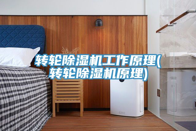 转轮除湿机工作原理(转轮除湿机原理)