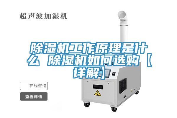 除湿机工作原理是什么 除湿机如何选购【详解】