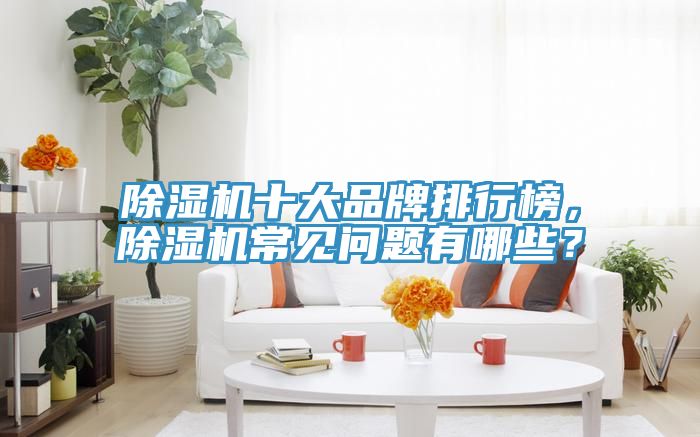除湿机十大品牌排行榜，除湿机常见问题有哪些？