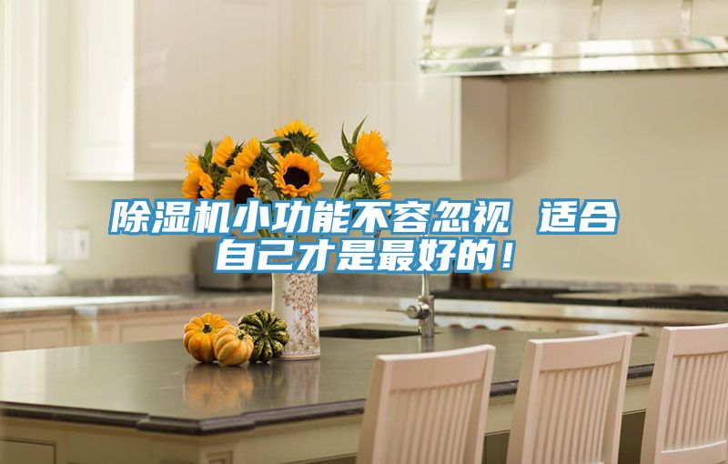 除湿机小功能不容忽视 适合自己才是最好的！