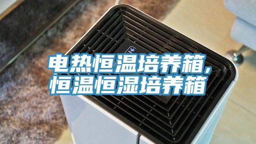 电热恒温培养箱,恒温恒湿培养箱