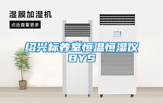 绍兴标养室恒温恒湿仪BYS