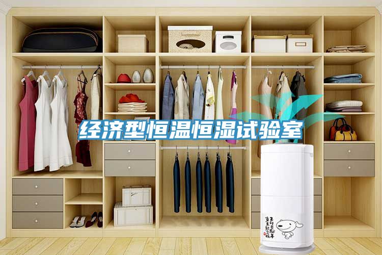 经济型恒温恒湿试验室
