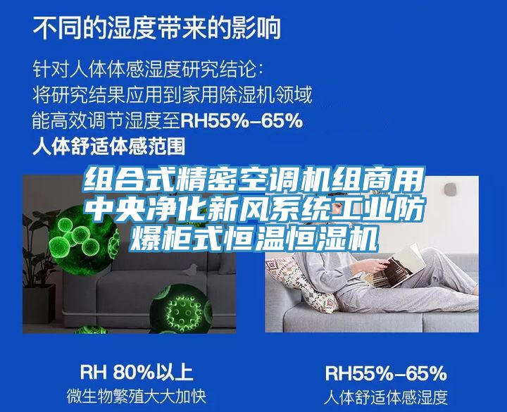 组合式精密空调机组商用中央净化新风系统工业防爆柜式恒温恒湿机