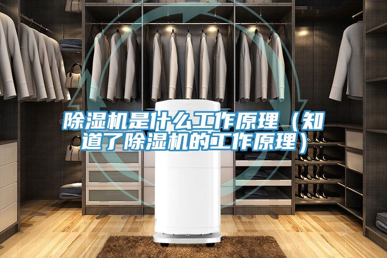 除湿机是什么工作原理（知道了除湿机的工作原理）