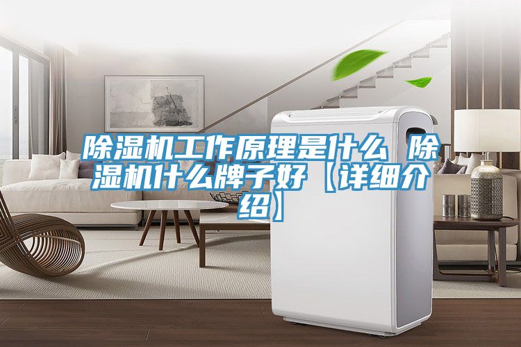 除湿机工作原理是什么 除湿机什么牌子好【详细介绍】