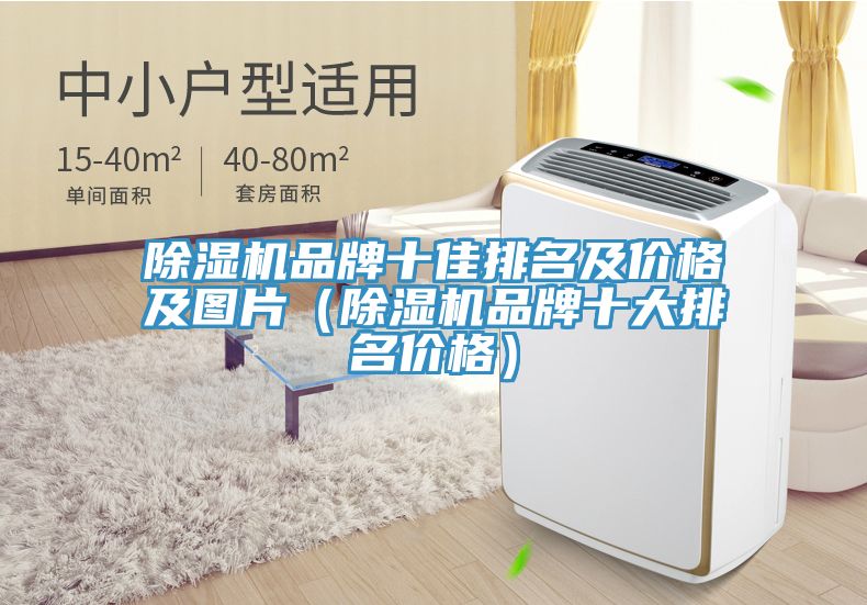 除湿机品牌十佳排名及价格及图片（除湿机品牌十大排名价格）