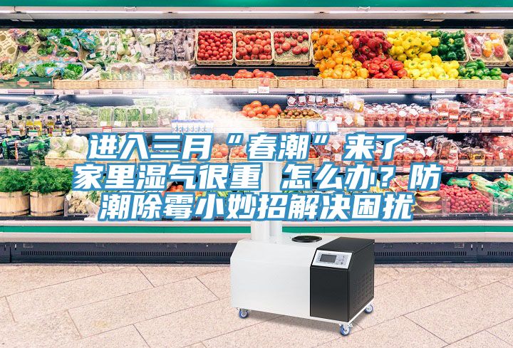 进入三月“春潮”来了 家里湿气很重 怎么办？防潮除霉小妙招解决困扰