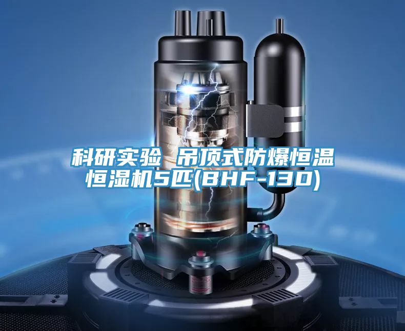 科研实验 吊顶式防爆恒温恒湿机5匹(BHF-13D)