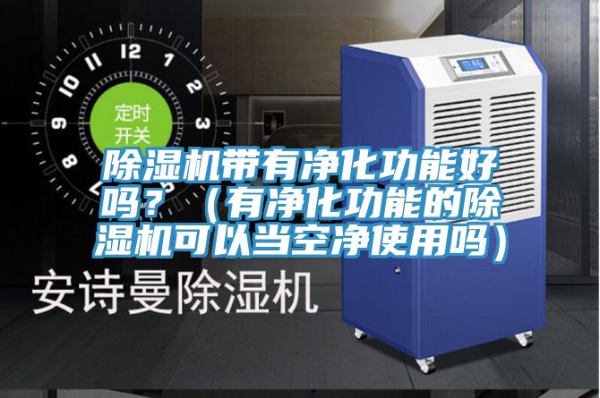 除湿机带有净化功能好吗？（有净化功能的除湿机可以当空净使用吗）