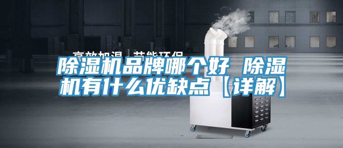 除湿机品牌哪个好 除湿机有什么优缺点【详解】