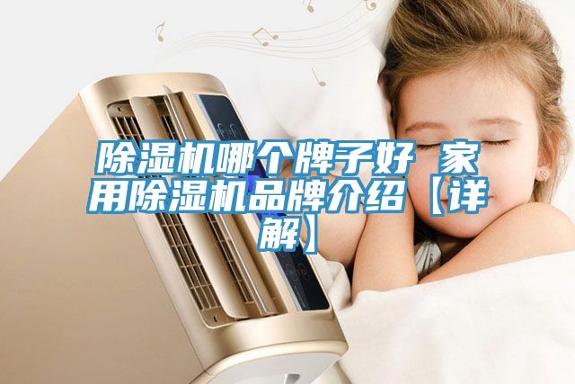 除湿机哪个牌子好 家用除湿机品牌介绍【详解】