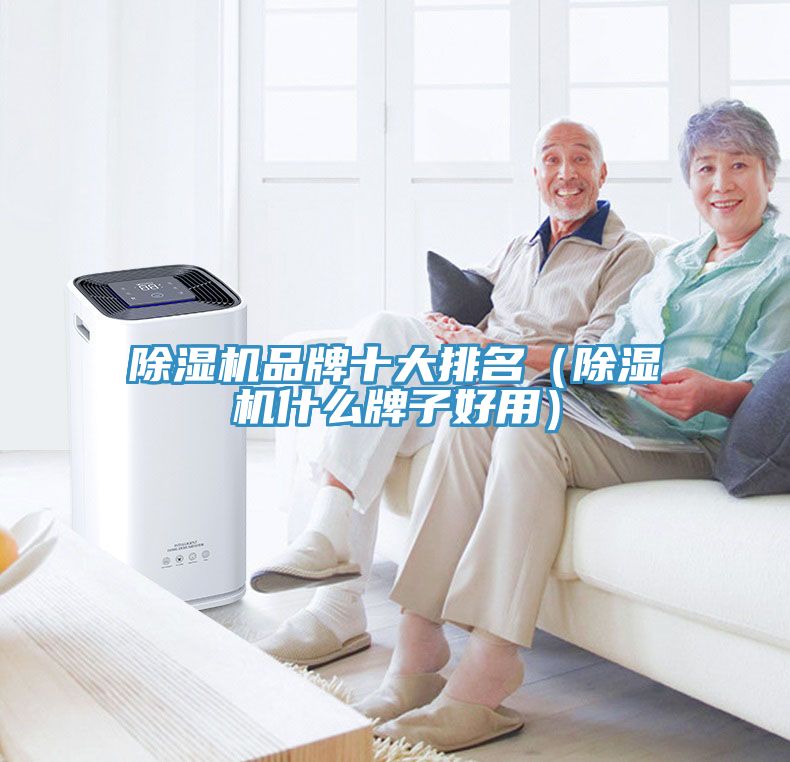 除湿机品牌十大排名（除湿机什么牌子好用）