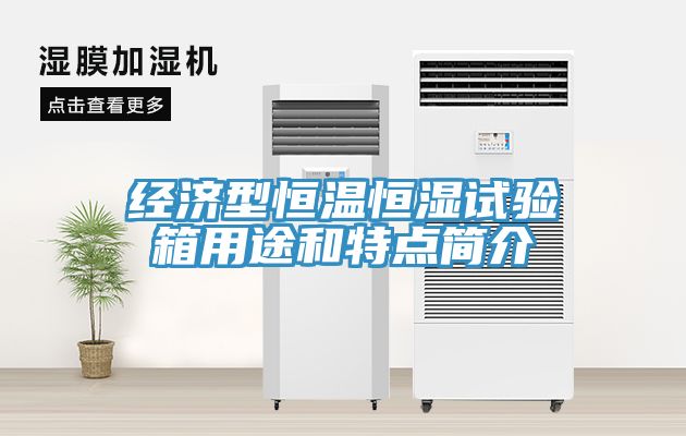 经济型恒温恒湿试验箱用途和特点简介