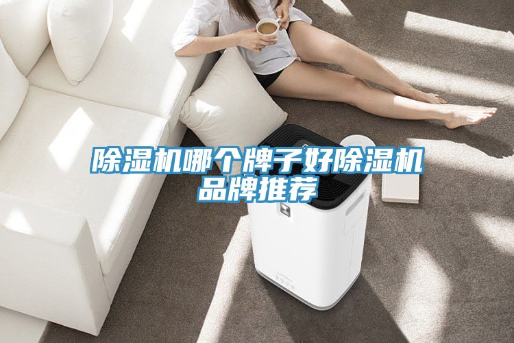 除湿机哪个牌子好除湿机品牌推荐