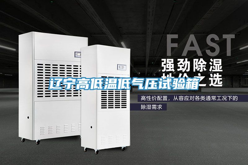 辽宁高低温低气压试验箱