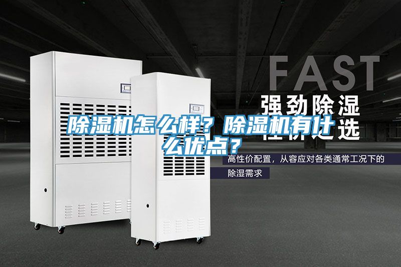 除湿机怎么样？除湿机有什么优点？