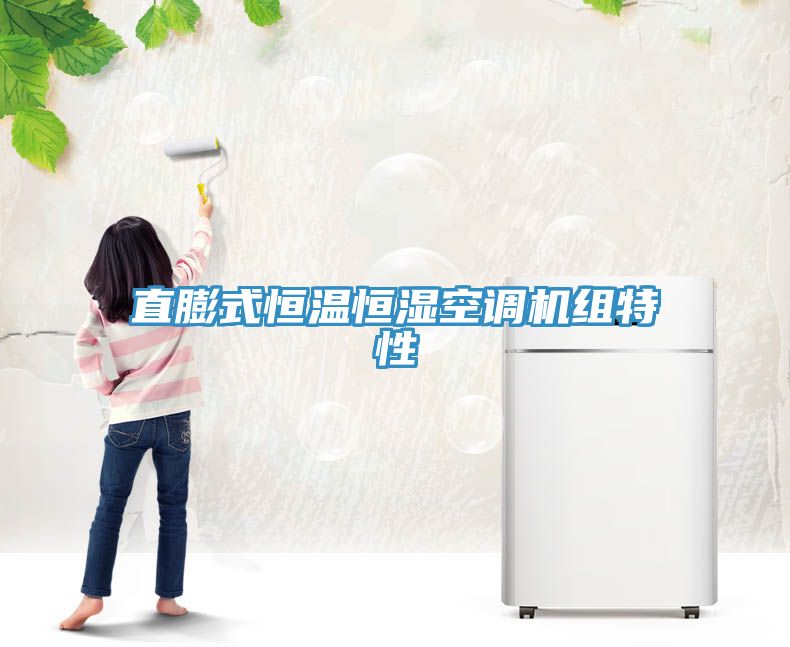 直膨式恒温恒湿空调机组特性