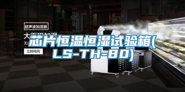 芯片恒温恒湿试验箱(LS-TH-80)