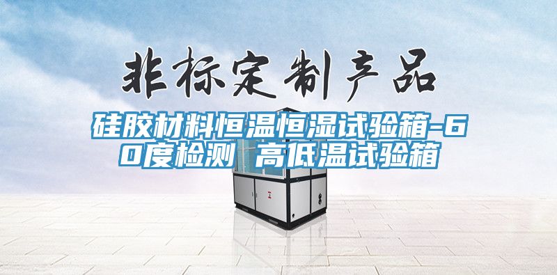 硅胶材料恒温恒湿试验箱-60度检测 高低温试验箱