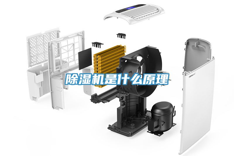 除湿机是什么原理
