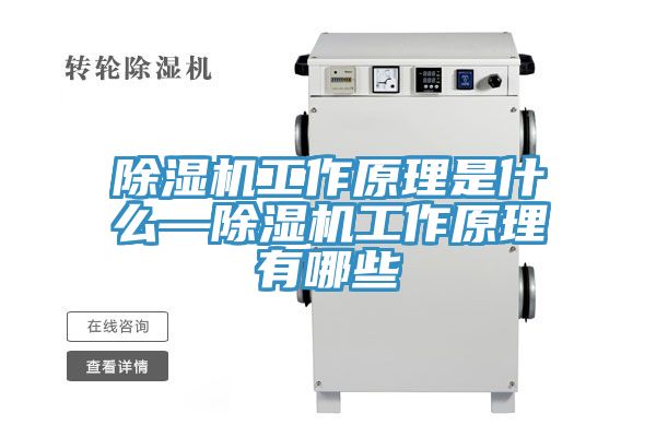除湿机工作原理是什么—除湿机工作原理有哪些