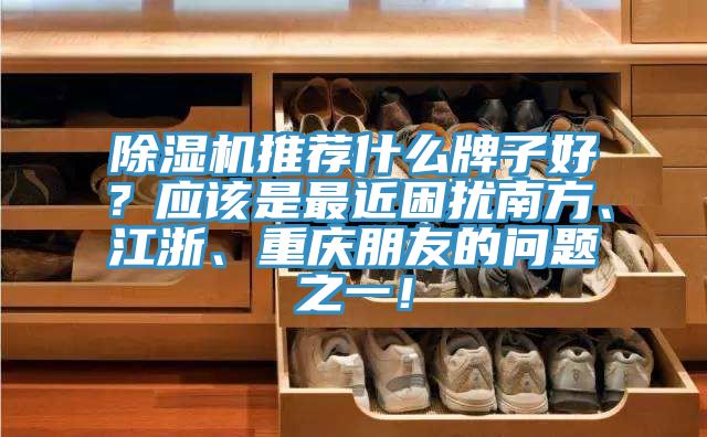 除湿机推荐什么牌子好？应该是最近困扰南方、江浙、重庆朋友的问题之一！