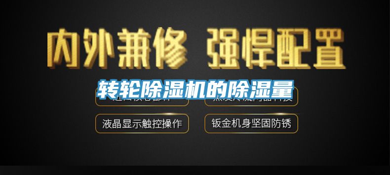 转轮除湿机的除湿量