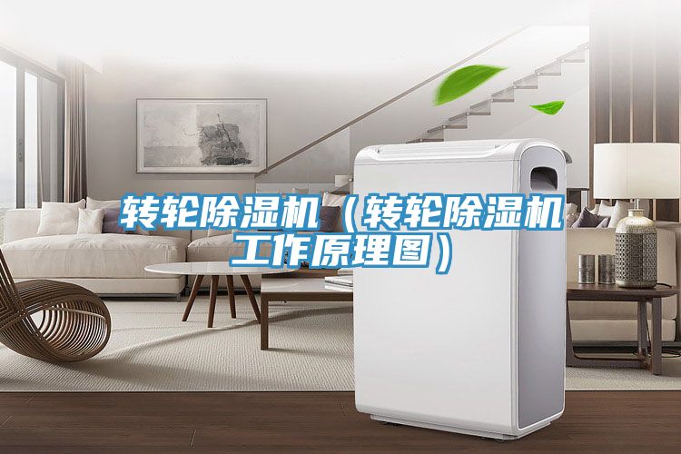 转轮除湿机（转轮除湿机工作原理图）