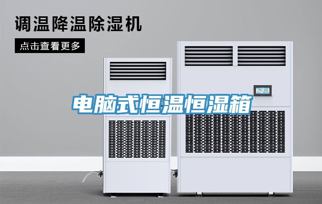 电脑式恒温恒湿箱
