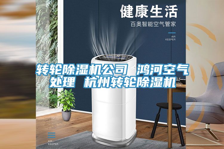转轮除湿机公司 鸿河空气处理 杭州转轮除湿机