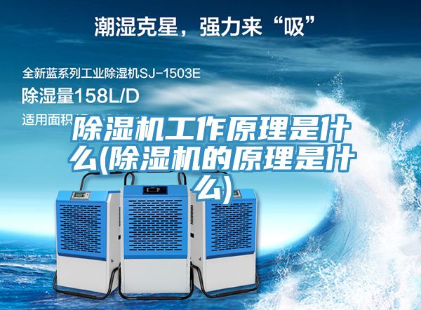 除湿机工作原理是什么(除湿机的原理是什么)