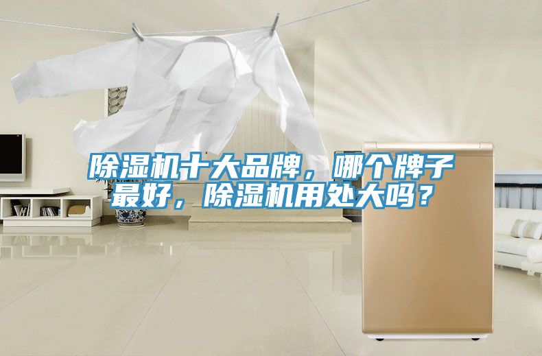 除湿机十大品牌，哪个牌子最好，除湿机用处大吗？