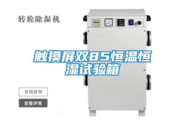 触摸屏双85恒温恒湿试验箱