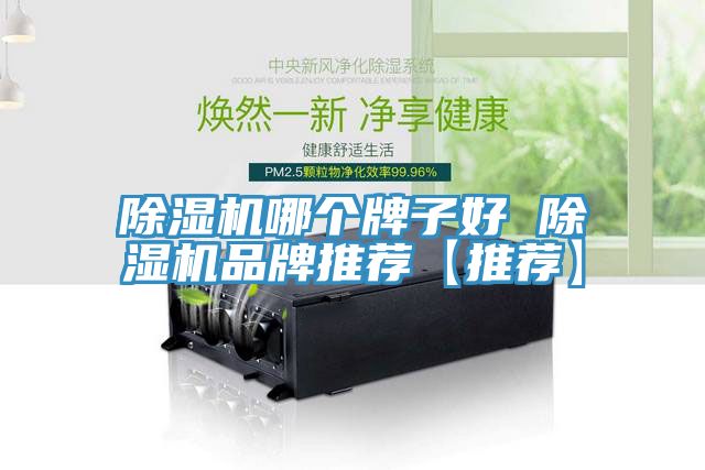 除湿机哪个牌子好 除湿机品牌推荐【推荐】