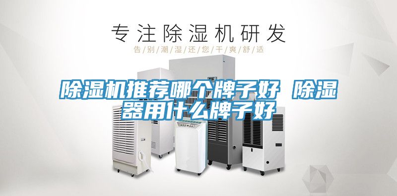 除湿机推荐哪个牌子好 除湿器用什么牌子好