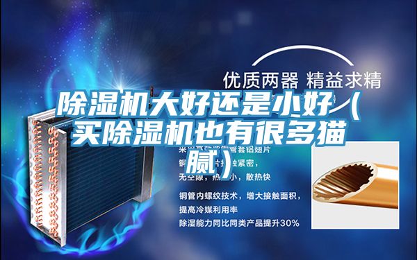 除湿机大好还是小好（买除湿机也有很多猫腻）