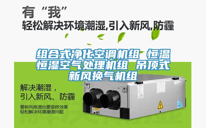 组合式净化空调机组 恒温恒湿空气处理机组 吊顶式新风换气机组