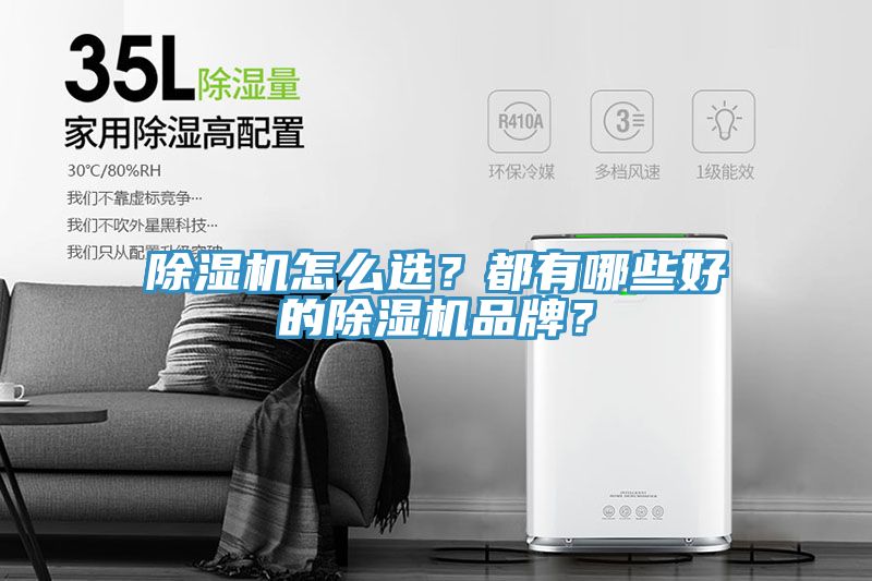 除湿机怎么选？都有哪些好的除湿机品牌？