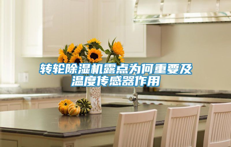 转轮除湿机露点为何重要及温度传感器作用