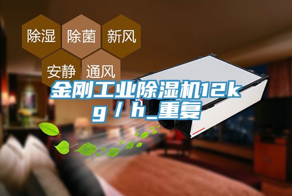 金刚工业除湿机12kg／h_重复