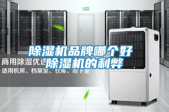 除湿机品牌哪个好 除湿机的利弊
