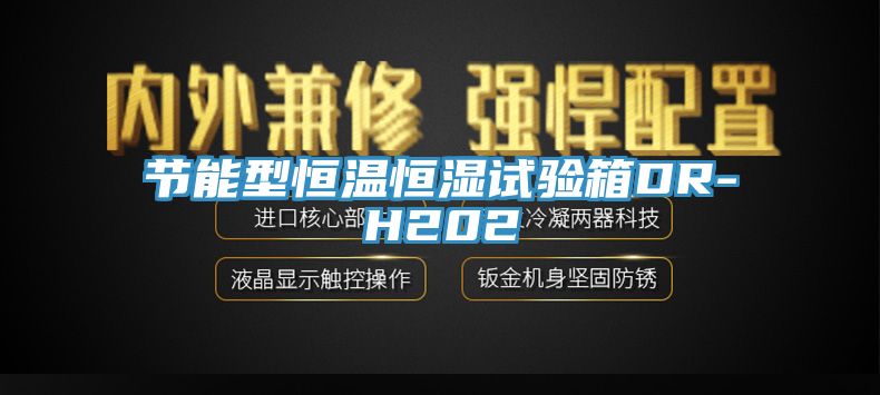 节能型恒温恒湿试验箱DR-H202