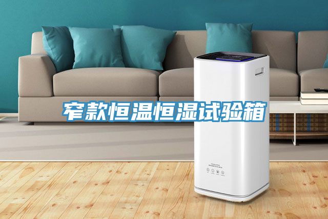 窄款恒温恒湿试验箱