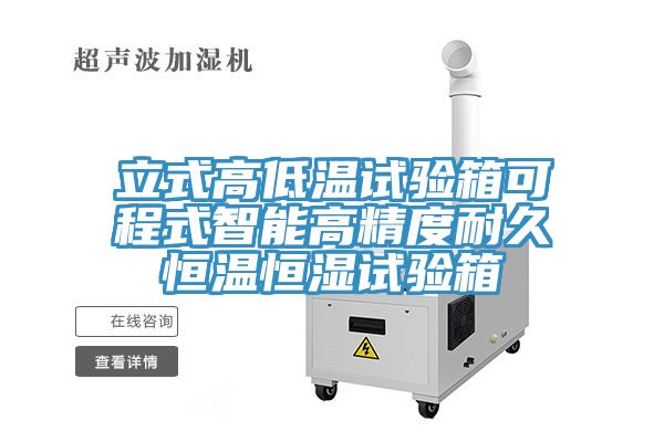 立式高低温试验箱可程式智能高精度耐久恒温恒湿试验箱