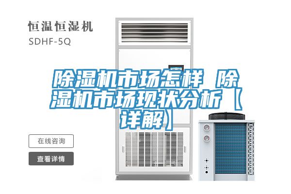 除湿机市场怎样 除湿机市场现状分析【详解】