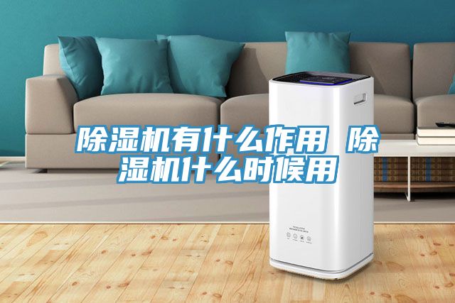 除湿机有什么作用 除湿机什么时候用