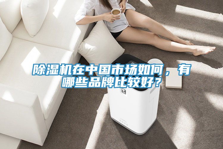 除湿机在中国市场如何，有哪些品牌比较好？